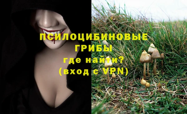 мескалин Богданович