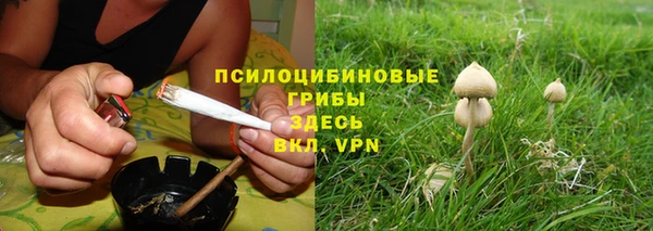 гашик Богородск